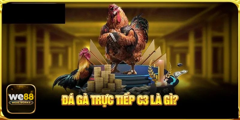 Đá Gà Thomo - Đá gà cựa sắt quyết liệt, tốc độ cao